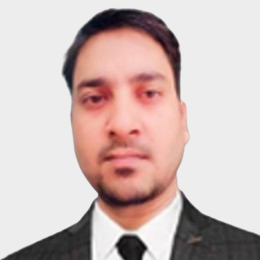 Mr. Hemant - Project Manager